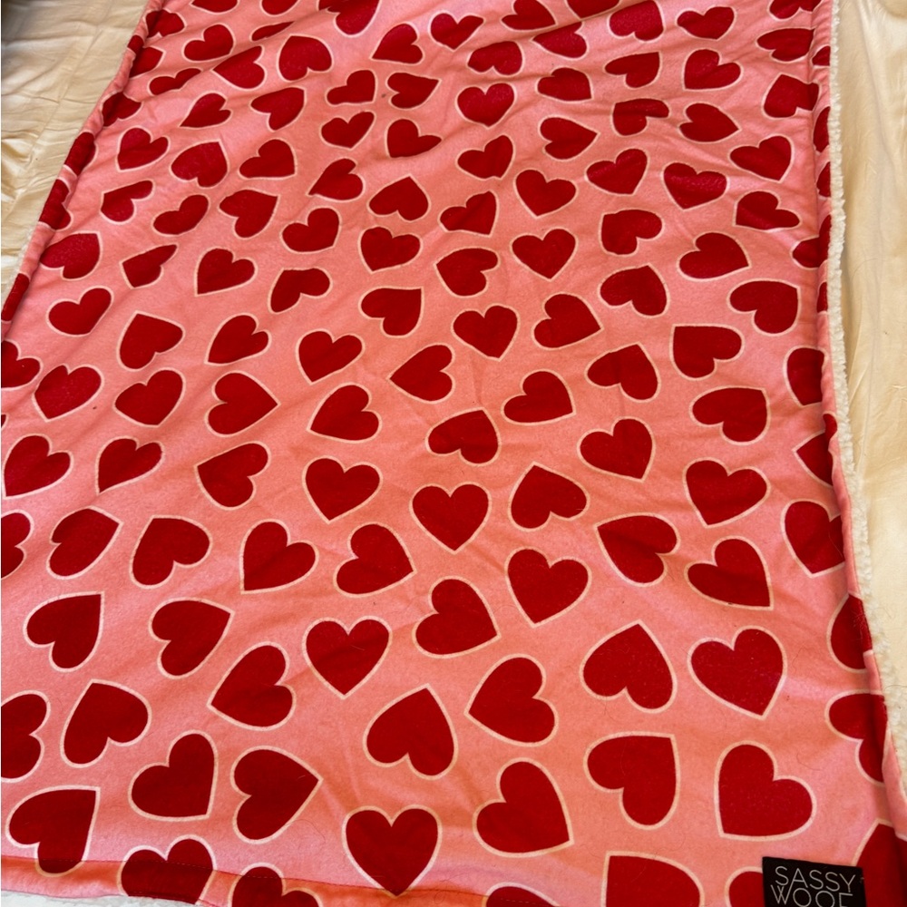 Pet Throw Blanket - Reversible